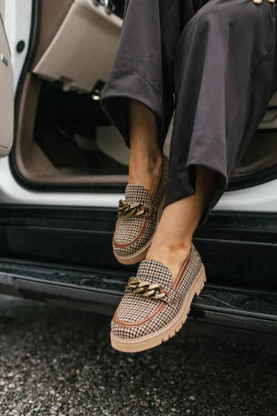 Chien à Tartan Noir et Beige Pas Littéralement des Chaussures