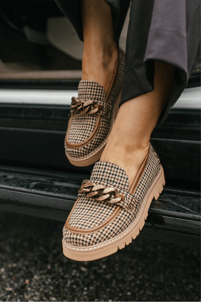 Chien à Tartan Noir et Beige Pas Littéralement des Chaussures